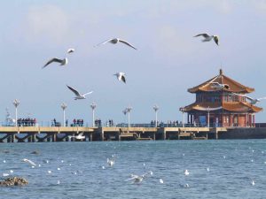 青島 旅遊