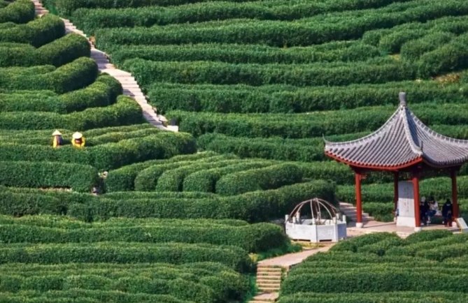 杭州旅遊景點 杭州旅遊景點