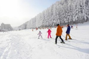大陸東北滑雪