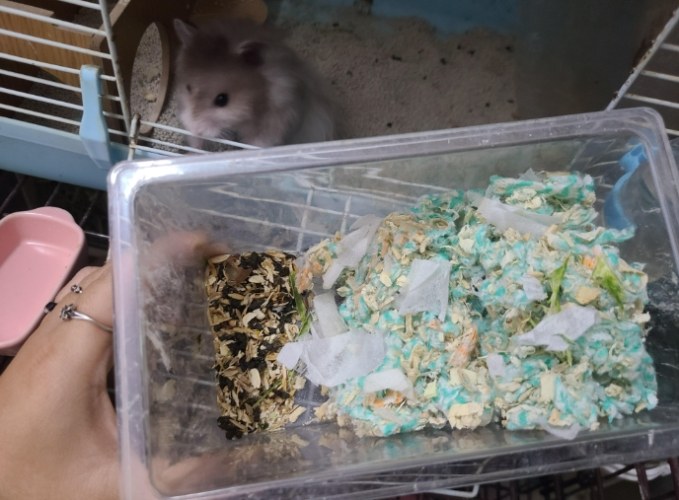 通心粉鼠墊材 通心粉鼠墊材