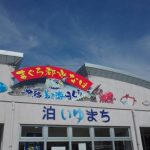 泊港漁市場 泊港漁市場