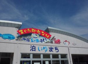 泊港漁市場 泊港漁市場