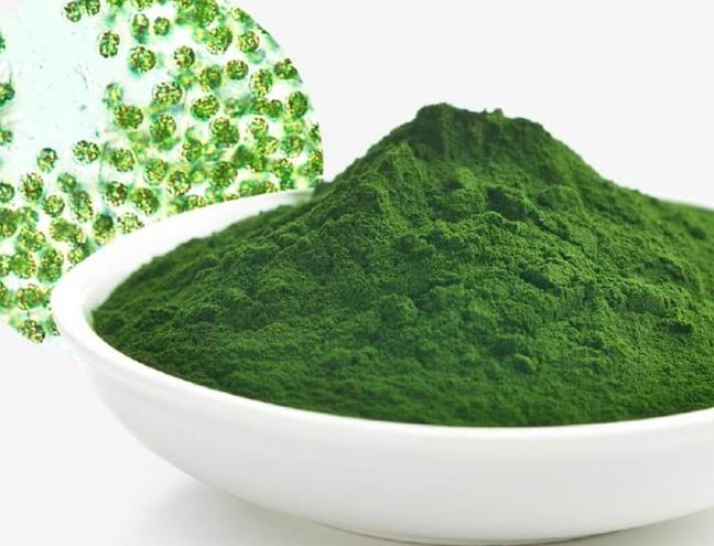 綠藻功效