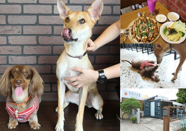 鹿港寵物友善民宿