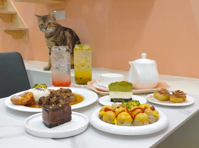 貓咪咖啡廳 台中