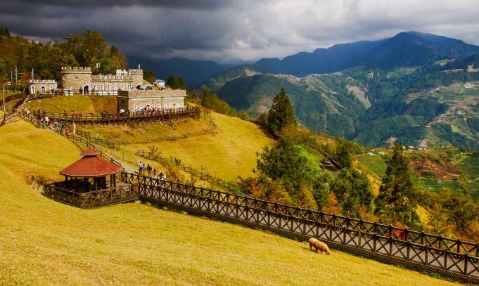 清境農場有什麼好玩的