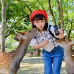 奈良餵鹿請三思