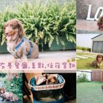 彰化鹿港寵物友善住宿