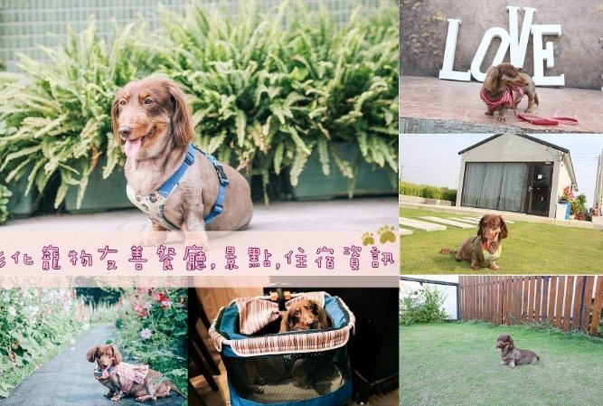 彰化鹿港寵物友善住宿