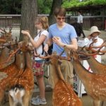 奈良鹿是梅花鹿嗎