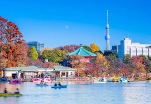 上野公園附近景點