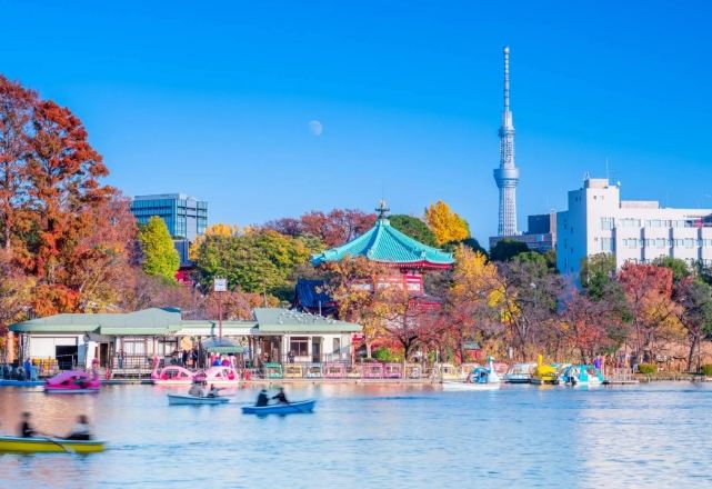 上野公園附近景點