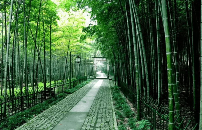 杭州旅遊季節