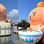 安平有什麼活動