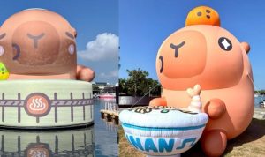 安平有什麼活動