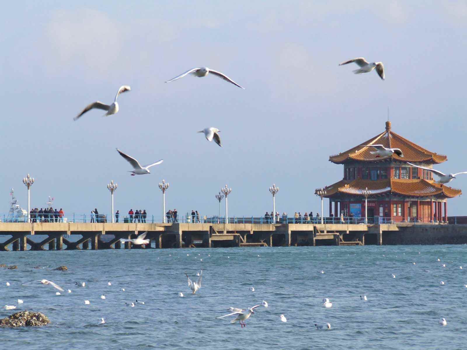 青島旅遊 青島旅遊